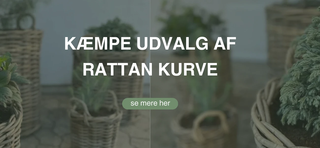 Rattan kurve